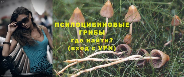 амф Краснослободск