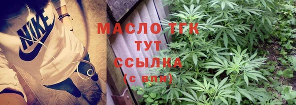 амф Краснослободск