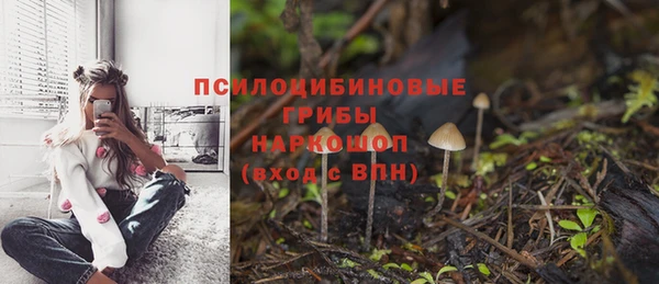 амф Краснослободск