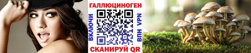закладки  Терек  Галлюциногенные грибы Cubensis 